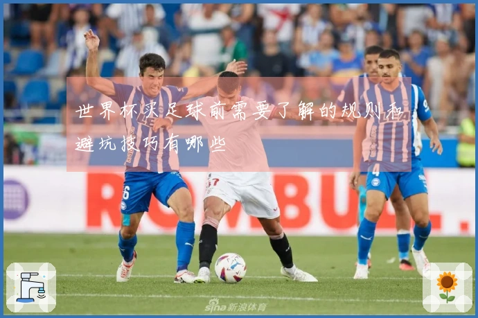 世界杯买足球前需要了解的规则和避坑技巧有哪些