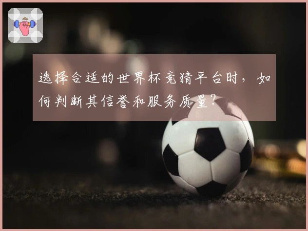 选择合适的世界杯竞猜平台时，如何判断其信誉和服务质量？