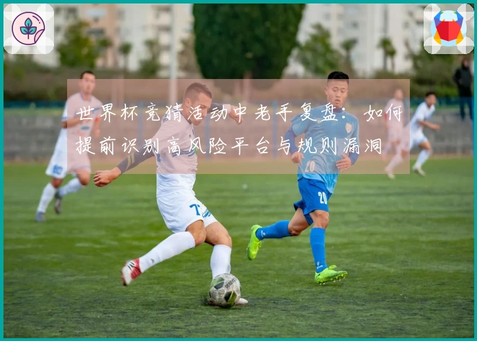 世界杯竞猜活动中老手复盘：如何提前识别高风险平台与规则漏洞