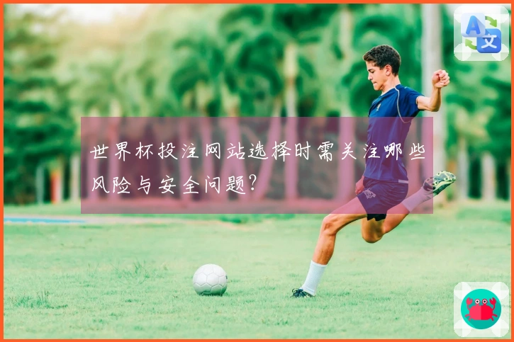 世界杯投注网站选择时需关注哪些风险与安全问题？